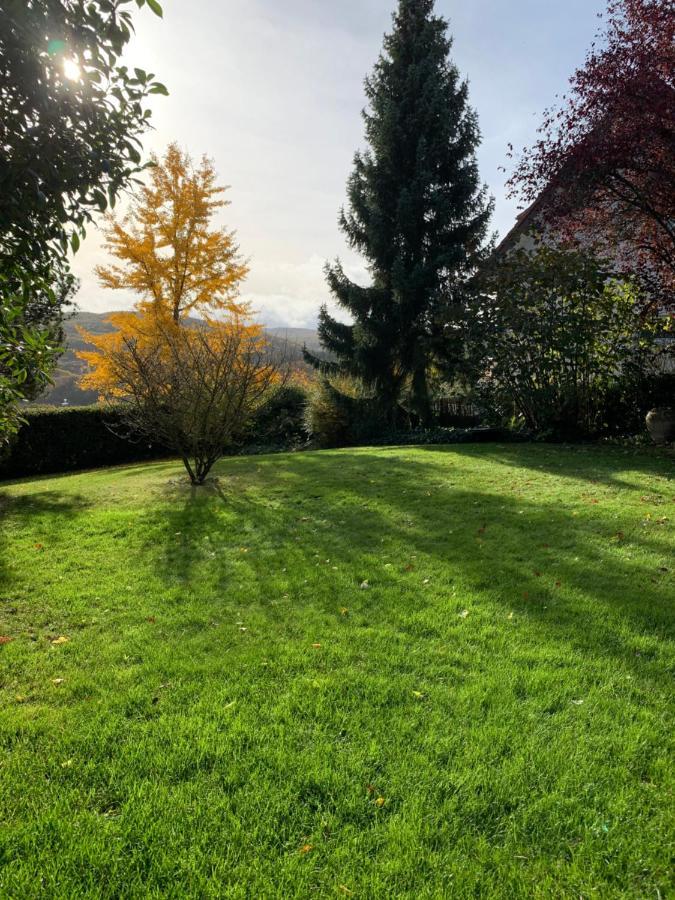Haus Am Pfingstborn Apartment Ober-Morlen Luaran gambar